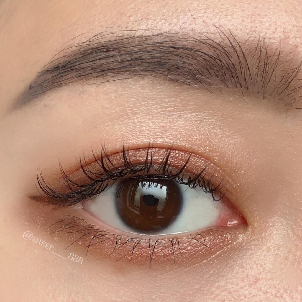 フラロッソ インテンソ アイシャドウ/アスタリフト/アイシャドウパレットを使ったクチコミ(4枚目)