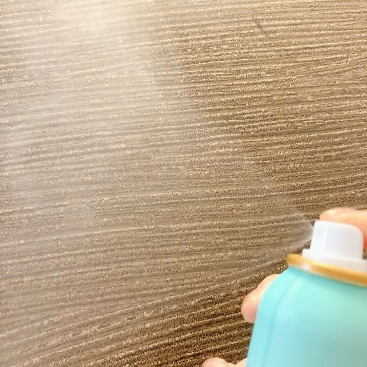 シカ モイスト ミスト/CNP Laboratory/化粧水を使ったクチコミ（3枚目）