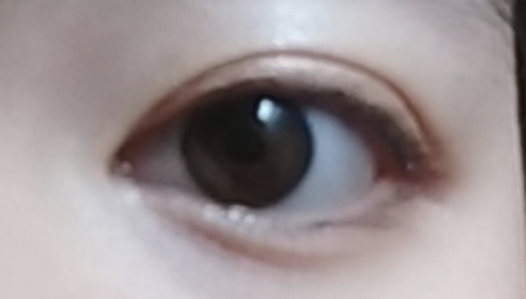 マジョルック(イルミネーター) BR355 メランコリー/MAJOLICA MAJORCA/アイシャドウパレットを使ったクチコミ（2枚目）