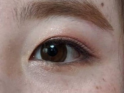 ジェミネイトアイズ N/LUNASOL/アイシャドウパレットを使ったクチコミ(1枚目)