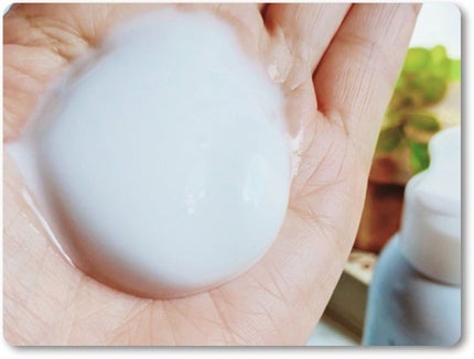 ソフィーナ iP リニュー ムース ウォッシュ/SOFINA iP/洗顔フォームを使ったクチコミ(3枚目)