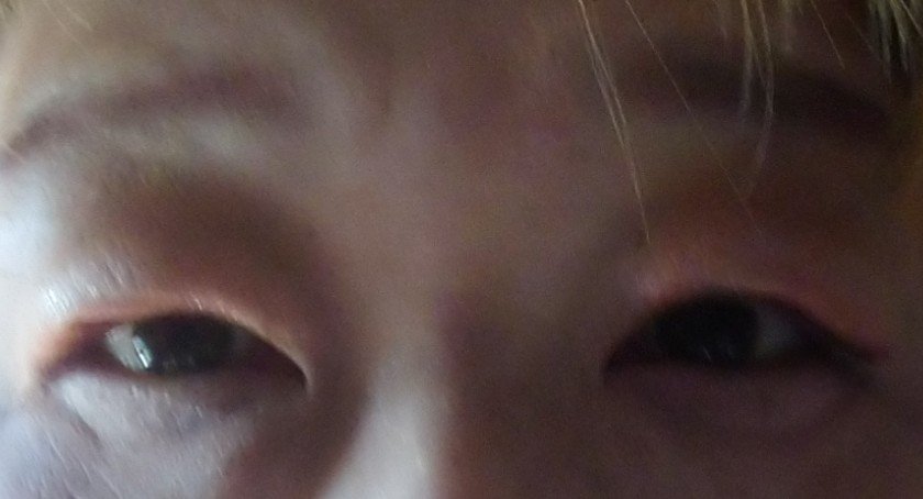 レトロマグネティック アイシャドウパレット/FlowerKnows/アイシャドウパレットを使ったクチコミ（2枚目）