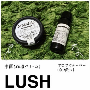 LUSHの化粧水と保湿クリーム！！！

試供品でのレポです。
正しい商品名としては、アロマウォーターと楽園(Celestial)になります💡

1月頃に同じくLUSHのクレンジングである俳句を購入した際