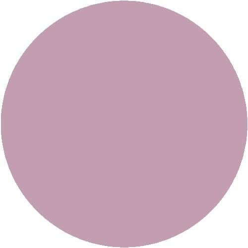 プリムドールミューズ グァバジュース