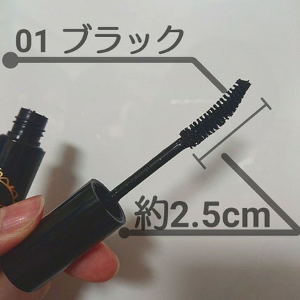 ゴクブトマスカラ/キャンメイク/マスカラを使ったクチコミ(3枚目)