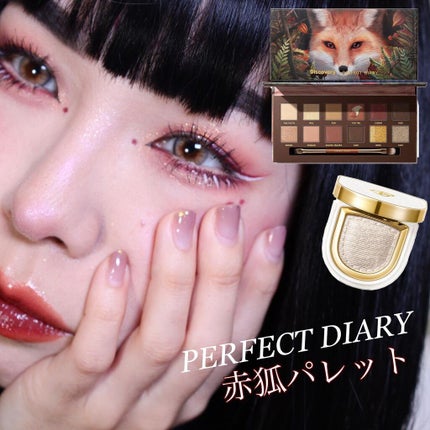 エクスプローラ12色 動物アイシャドウパレット/PERFECT DIARY/アイシャドウパレットを使ったクチコミ(1枚目)