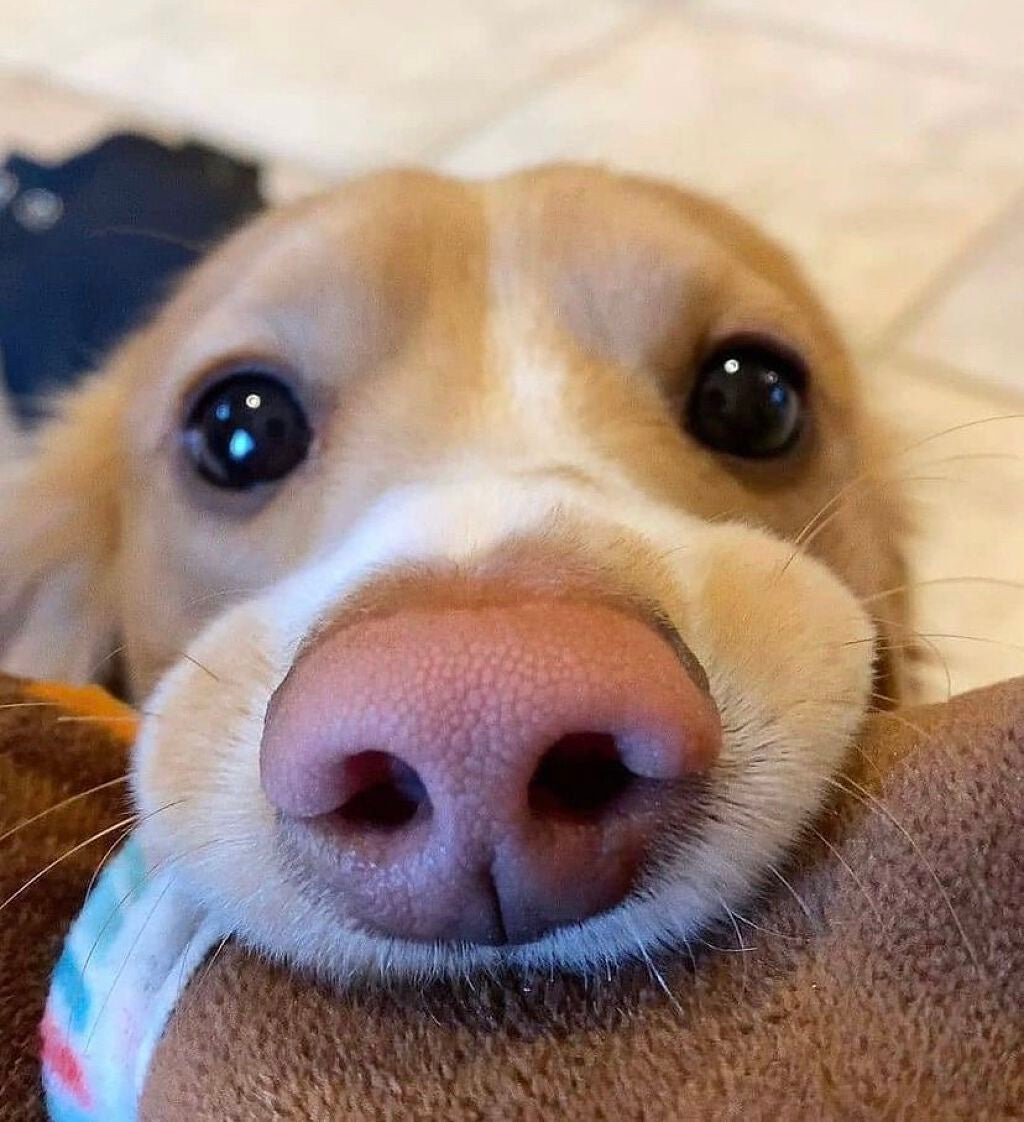 いつきちゃん on LIPS 「..」(2枚目)