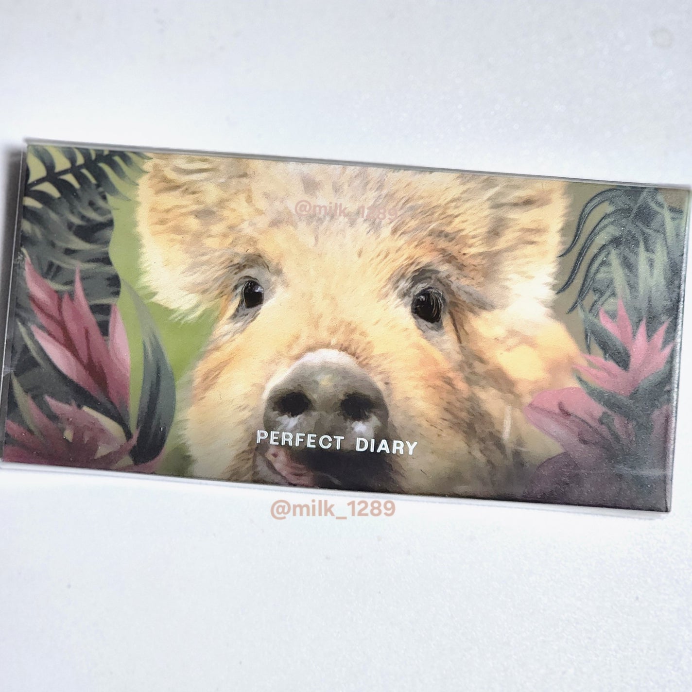 ぱかち/フォロバ100% on LIPS 「最近の#一重メイク×#眼鏡メイクコスメの画像→メイク画像の順番..」(1枚目)