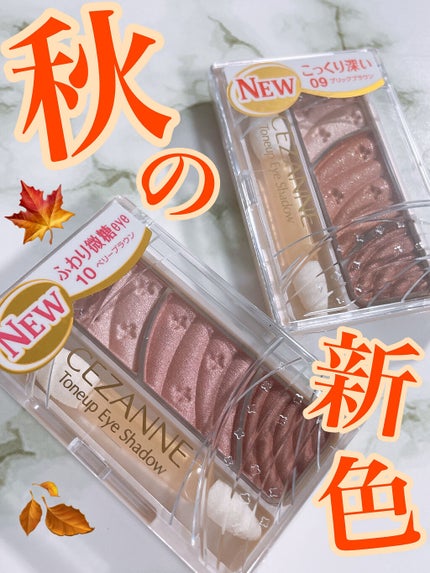 トーンアップアイシャドウ/CEZANNE/アイシャドウパレットを使ったクチコミ(1枚目)