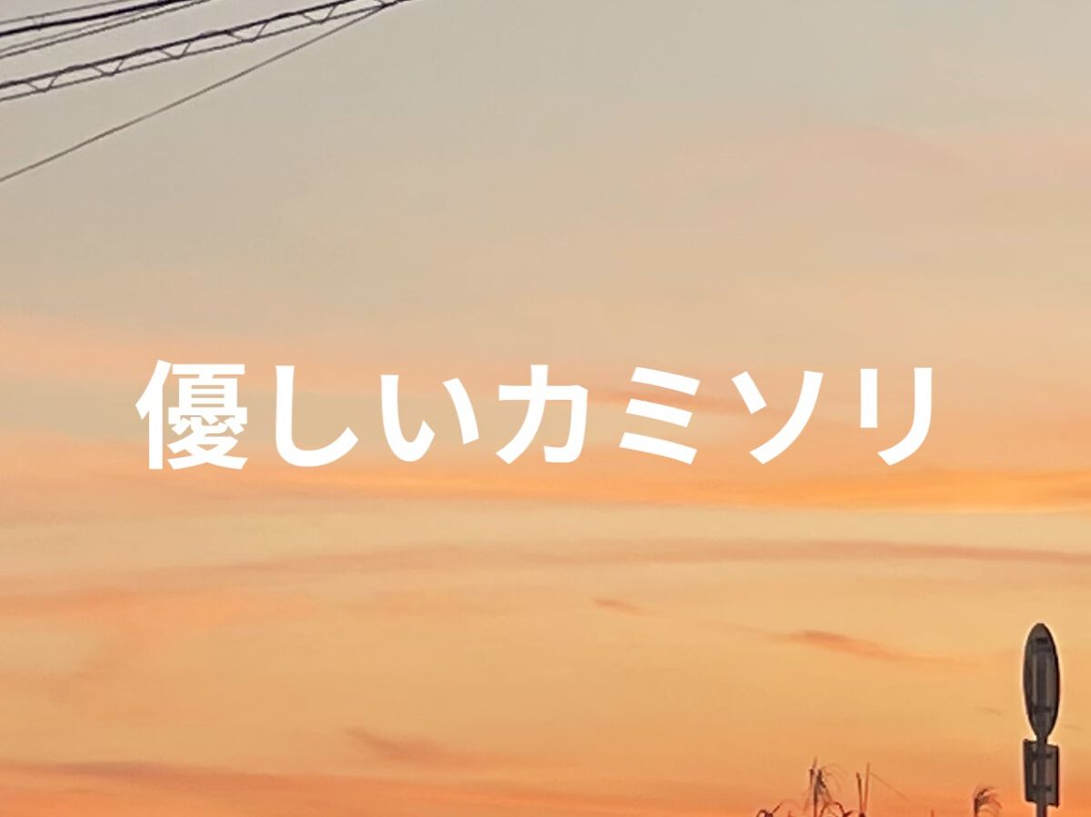 イントゥイション 敏感肌用 ホルダー （刃付き）＋替刃１コ/イントゥイション/シェーバーを使ったクチコミ（1枚目）