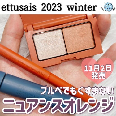 アイエディション(カラーパレット)/ettusais/アイシャドウパレットを使ったクチコミ（1枚目）