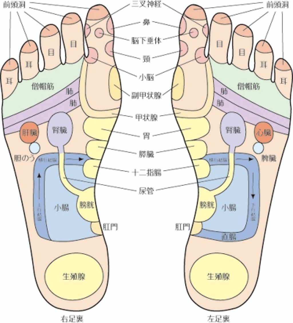 薬用 フットソープF1 フレッシュハーブ/フットメジ/レッグ・フットケアを使ったクチコミ（3枚目）