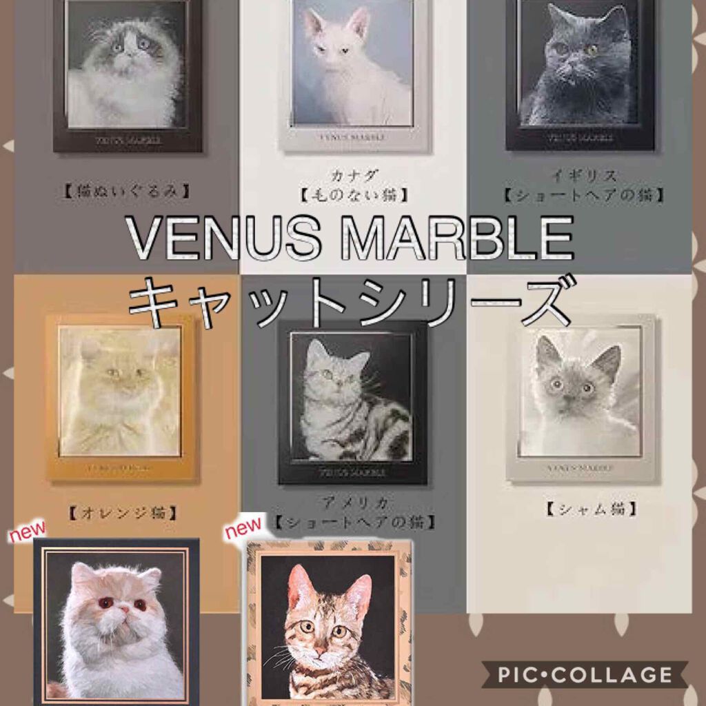 Venus Marble アイシャドウキャットシリーズ/Venus Marble/アイシャドウパレットを使ったクチコミ(1枚目)