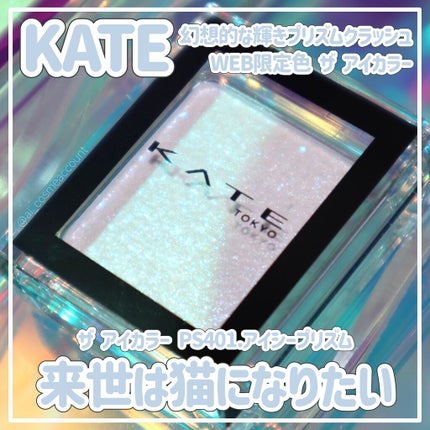 ケイト ザ アイカラー/KATE/単色アイシャドウを使ったクチコミ(1枚目)