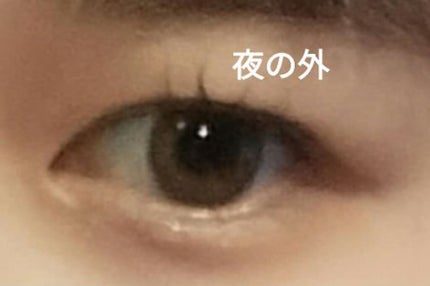 レヴィアワンデーカラー/ReVIA/ワンデー(1DAY)カラコンを使ったクチコミ(3枚目)