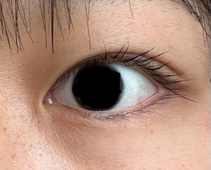 ラッシュジェリードロップ EX/MAJOLICA MAJORCA/まつげ美容液を使ったクチコミ(3枚目)