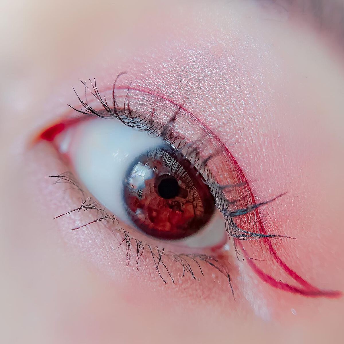 【旧】サンク クルール クチュール/Dior/アイシャドウパレットを使ったクチコミ（3枚目）