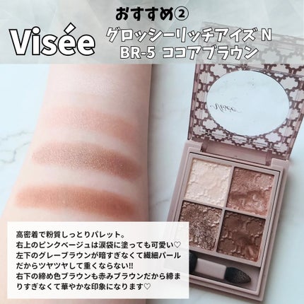 グロッシーリッチ アイズ N/Visée/アイシャドウパレットを使ったクチコミ(5枚目)