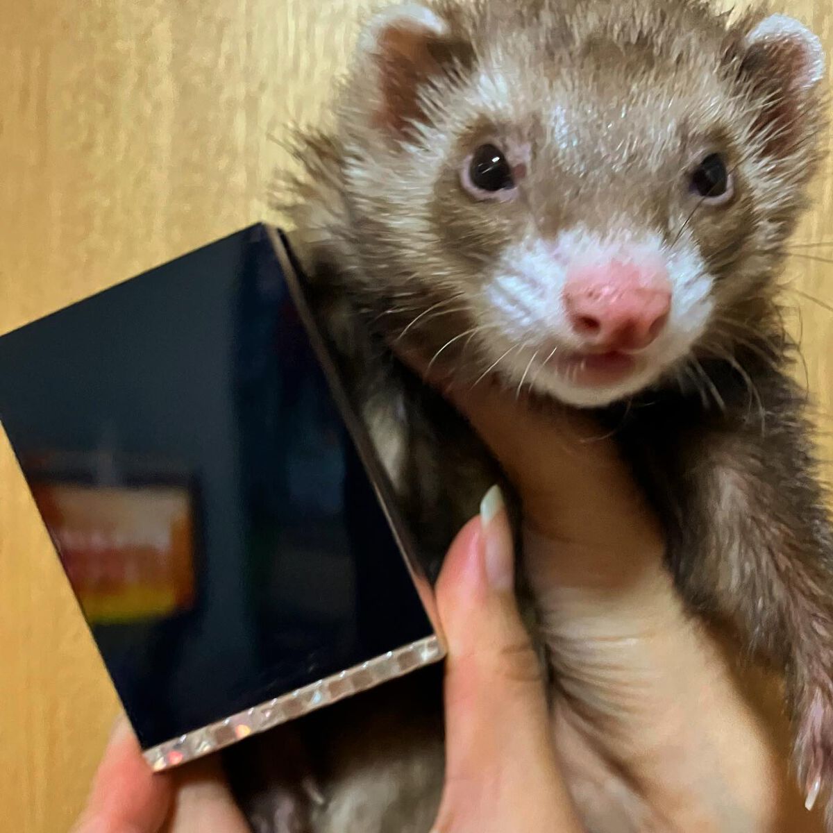 ドラマティックパウダリー EX/マキアージュ/パウダーファンデーションを使ったクチコミ(2枚目)