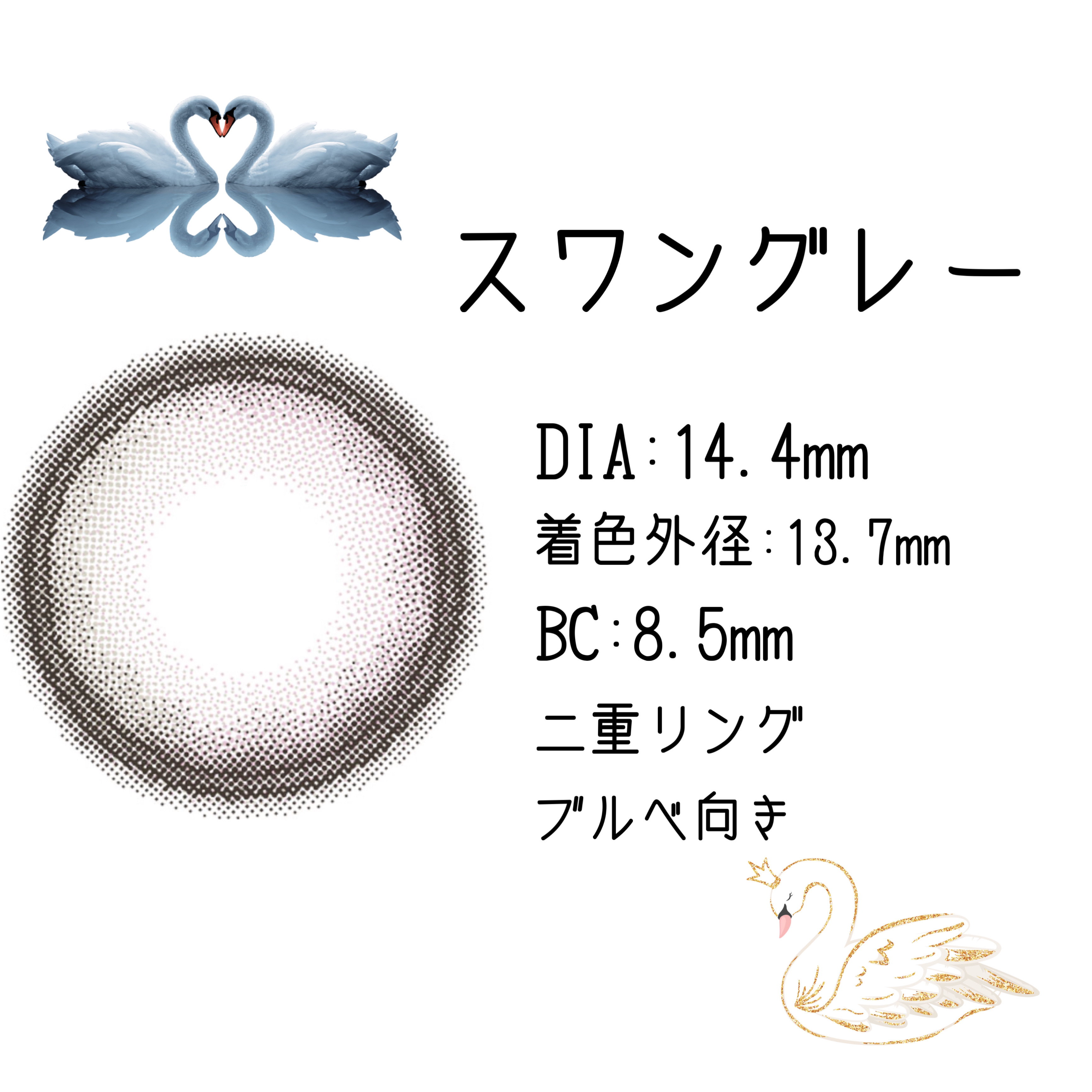 Angelcolor Bambi Series 1day  スワングレー/AngelColor/ワンデー（１DAY）カラコンを使ったクチコミ（2枚目）