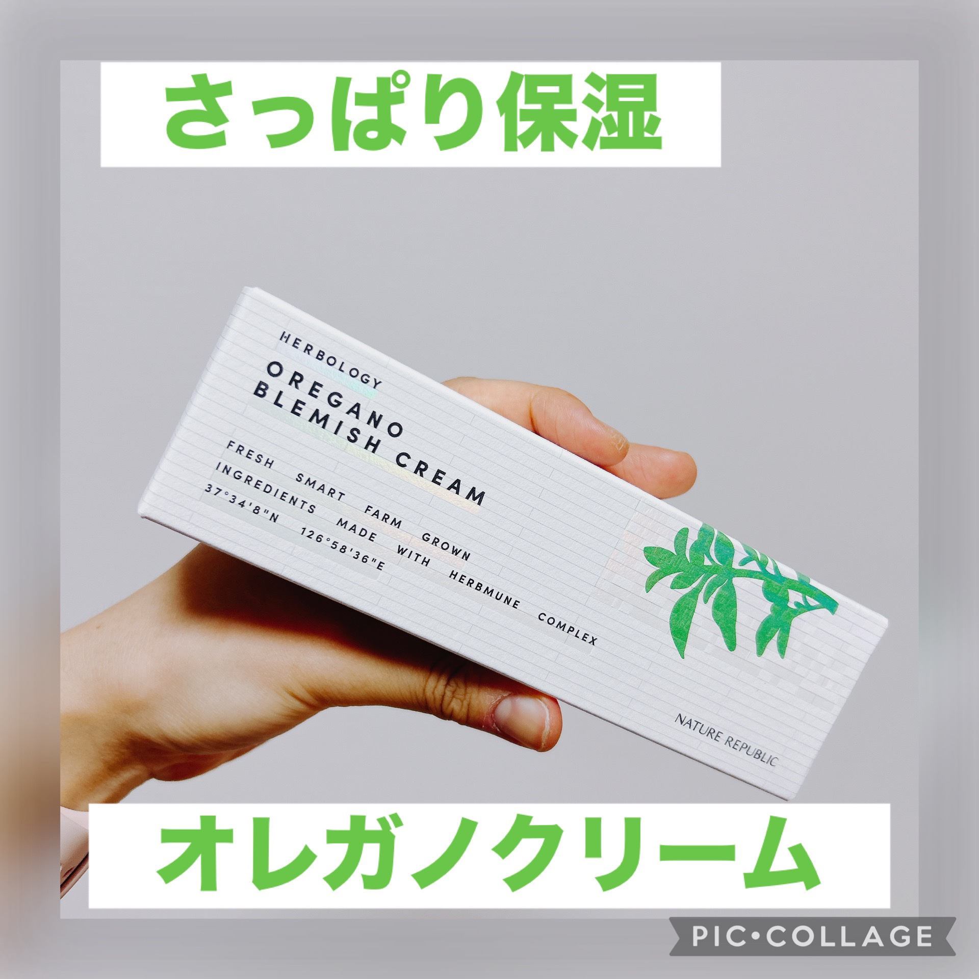 オレガノブレミッシュクリーム/ネイチャーリパブリック/フェイスクリームを使ったクチコミ（1枚目）