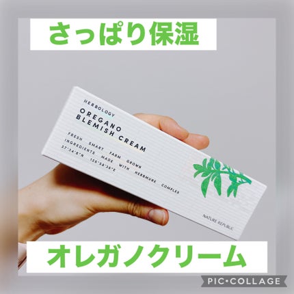 ネイチャーリパブリック オレガノブレミッシュクリームのクチコミ「✔︎ネイチャーリパブリック オレガノブレミッシュクリーム
おまけ
ネイリパのパックを買った時.....」(1枚目)