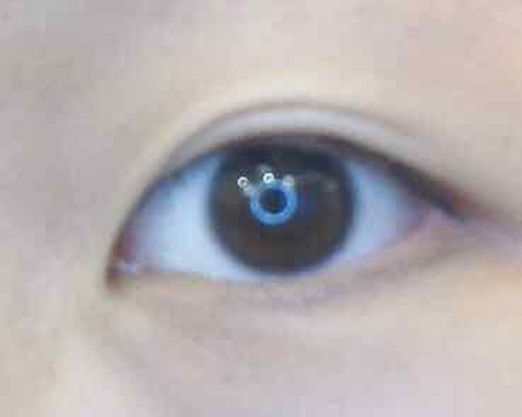 クイックラッシュカーラー/キャンメイク/マスカラ下地を使ったクチコミ（1枚目）