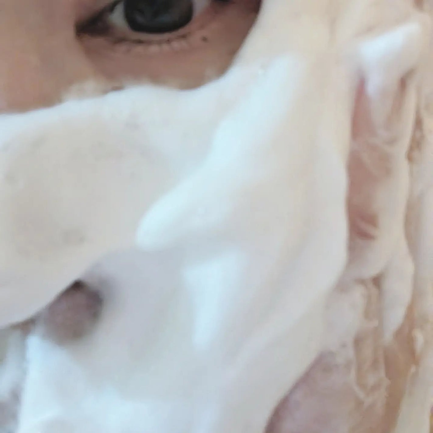 オルビスユー ドット フォーミングウォッシュ/オルビス/洗顔フォームを使ったクチコミ(5枚目)