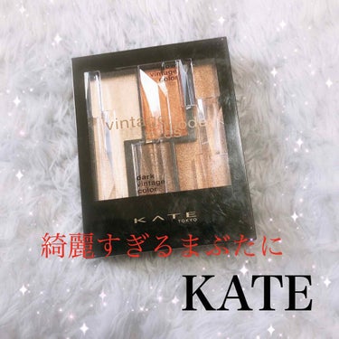 ヴィンテージモードアイズ/KATE/アイシャドウパレットを使ったクチコミ（1枚目）