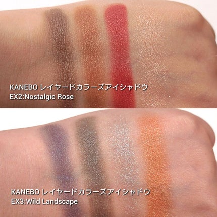 レイヤードカラーズアイシャドウ EX3 Wild Landscape(限定)/KANEBO/アイシャドウパレットを使ったクチコミ(3枚目)