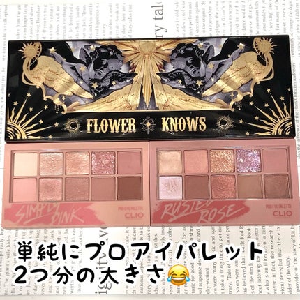 リトルエンジェル12色アイシャドウパレット/FlowerKnows/アイシャドウパレットを使ったクチコミ(8枚目)