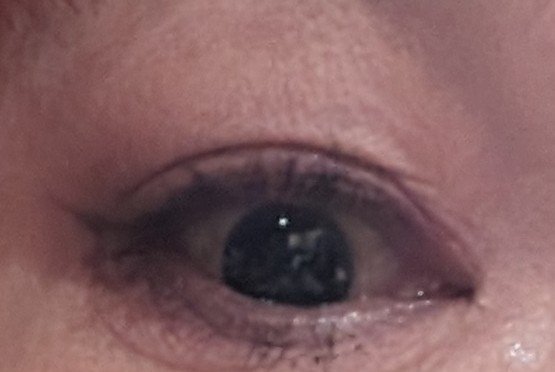 ラッシュエキスパンダー ロングロングロング/マジョリカ マジョルカ/マスカラを使ったクチコミ（2枚目）