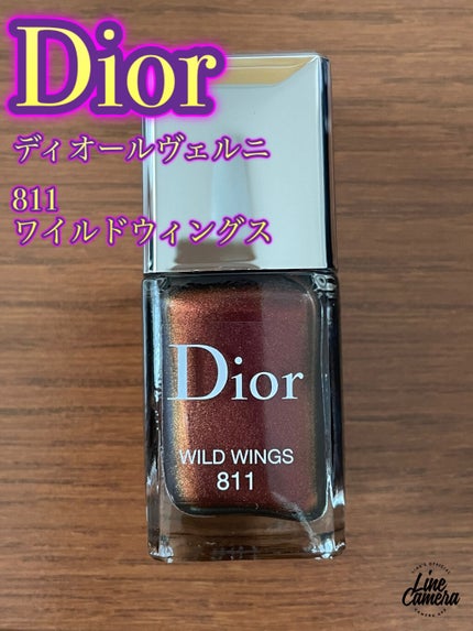 サンク クルール クチュール<バーズ オブ ア フェザー>/Dior/アイシャドウパレットを使ったクチコミ(3枚目)