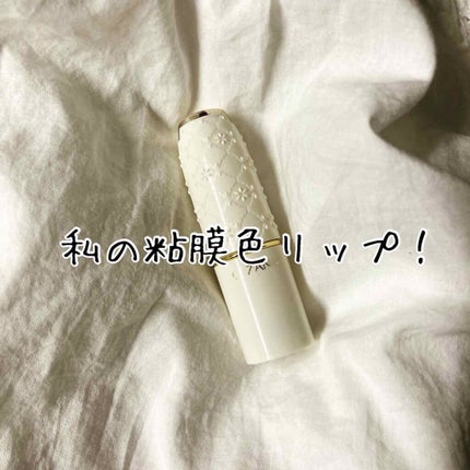 ラスティング リップカラーN/CEZANNE/口紅を使ったクチコミ(1枚目)