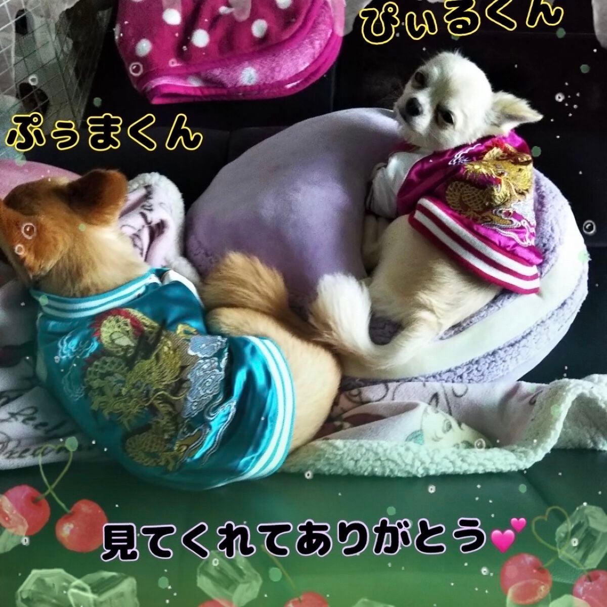 トーンアップアイシャドウ/CEZANNE/アイシャドウパレットを使ったクチコミ(10枚目)