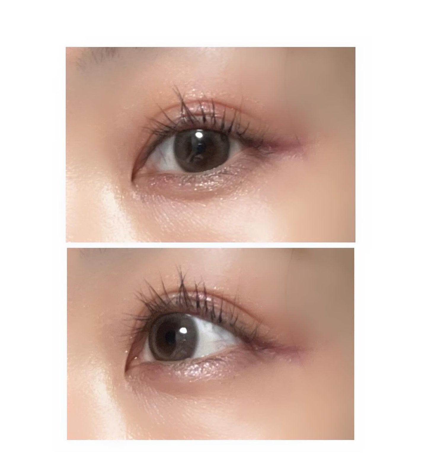 シグニチャー カラー アイズ/SUQQU/アイシャドウパレットを使ったクチコミ(5枚目)