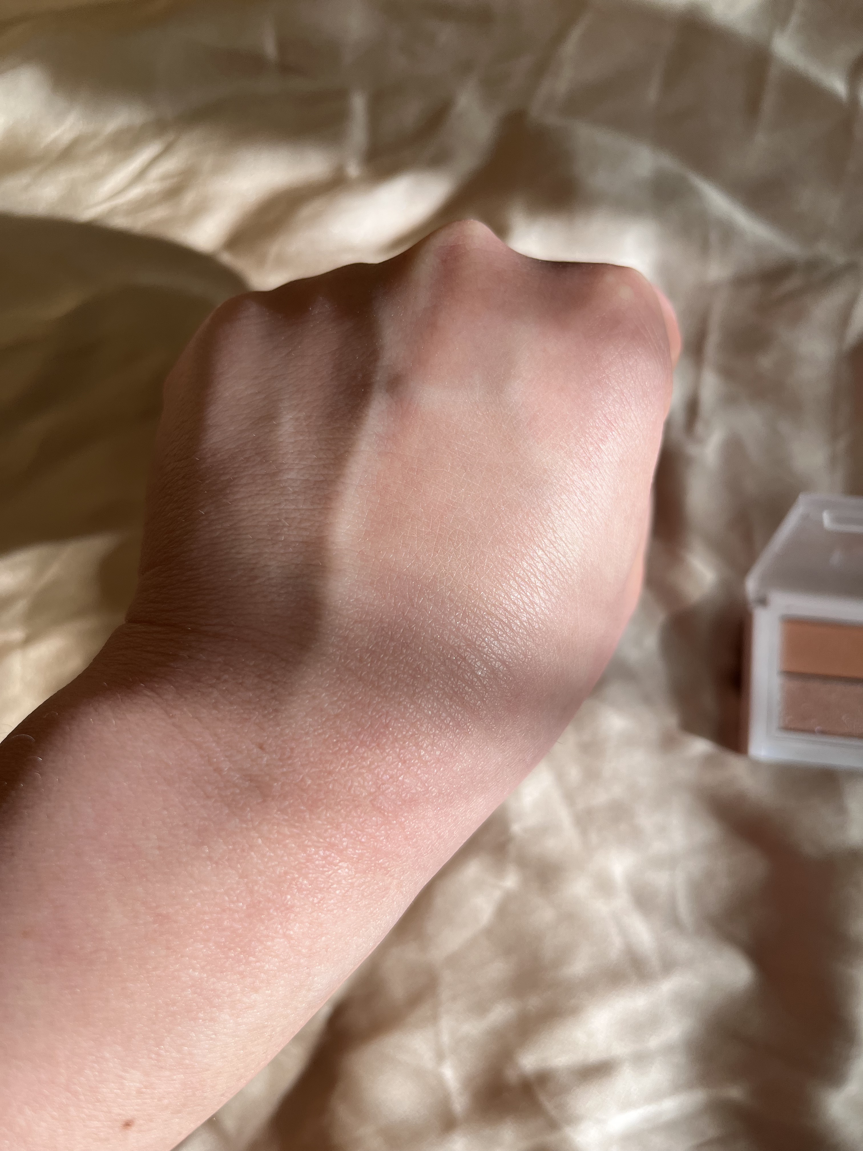 ごまかしシャドウ 02 レタッチベージュ/b idol/アイシャドウパレットを使ったクチコミ（3枚目）