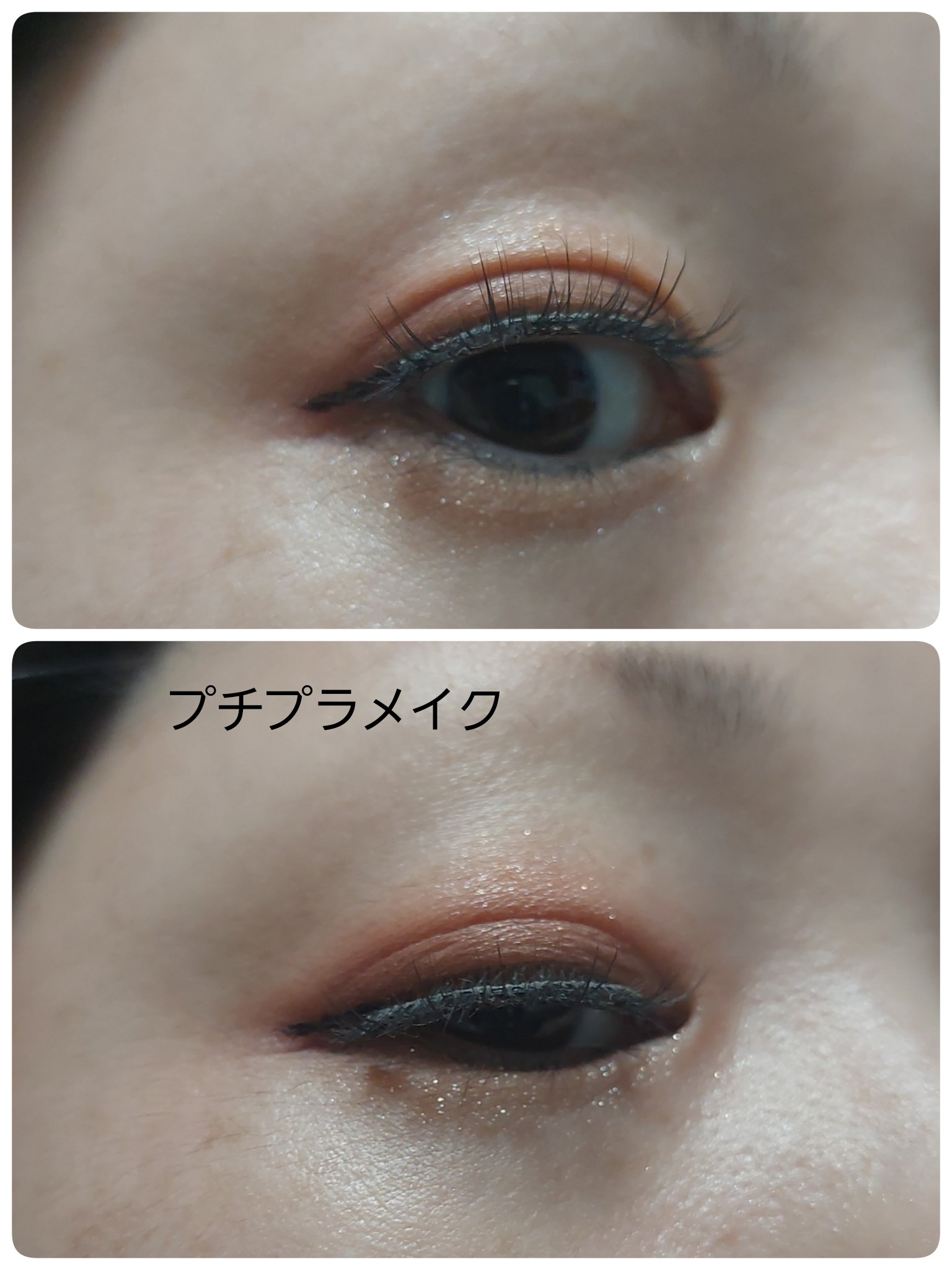 つけまつ毛/SHEIN/つけまつげを使ったクチコミ（2枚目）