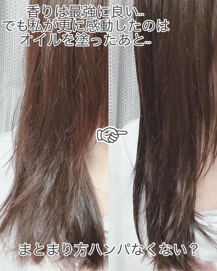 プルント コントロールペアセット サクラ/Purunt./ヘアケア・スタイリングを使ったクチコミ(3枚目)