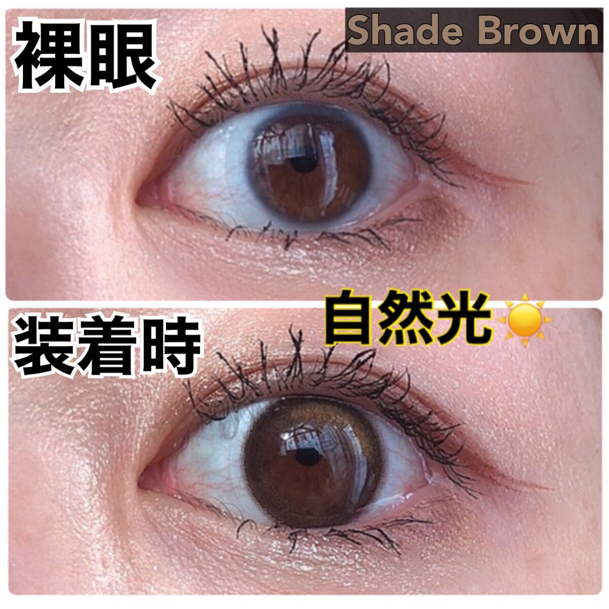 i-sha/蜜のレンズ/カラーコンタクトレンズを使ったクチコミ(3枚目)