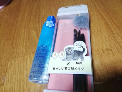 UR GLAM SHEER LIP GLOSS/U R GLAM/リップグロスを使ったクチコミ(3枚目)