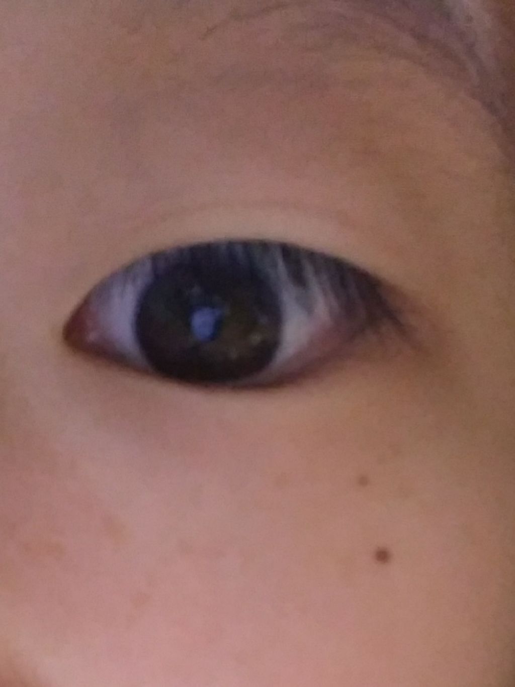 メジカライナー ナイト＆ハード/シェモア/二重まぶた用アイテムを使ったクチコミ（3枚目）