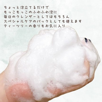 ヴィーガンパッククレンザーチューブ/WHIPPED/洗顔フォームを使ったクチコミ(4枚目)