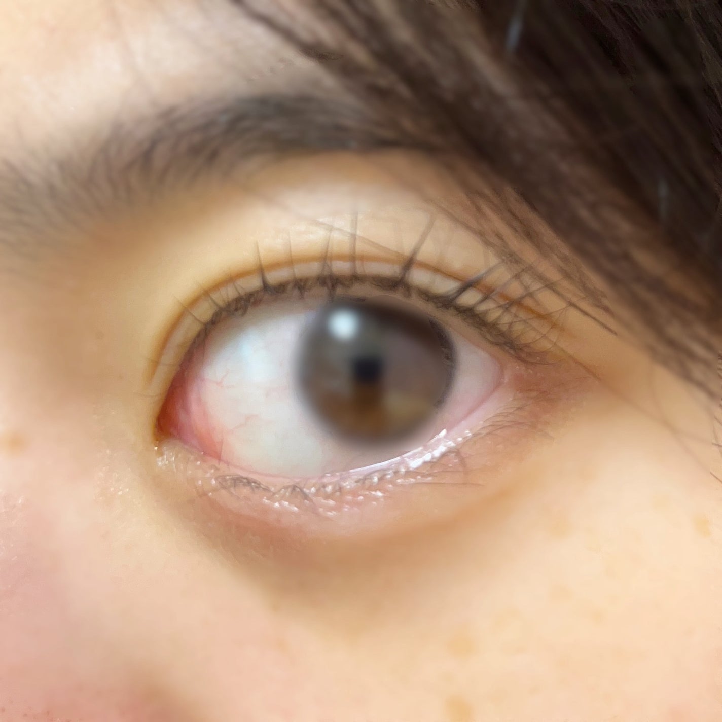 ラッシュルーティーン/キャンメイク/まつげ美容液を使ったクチコミ(2枚目)