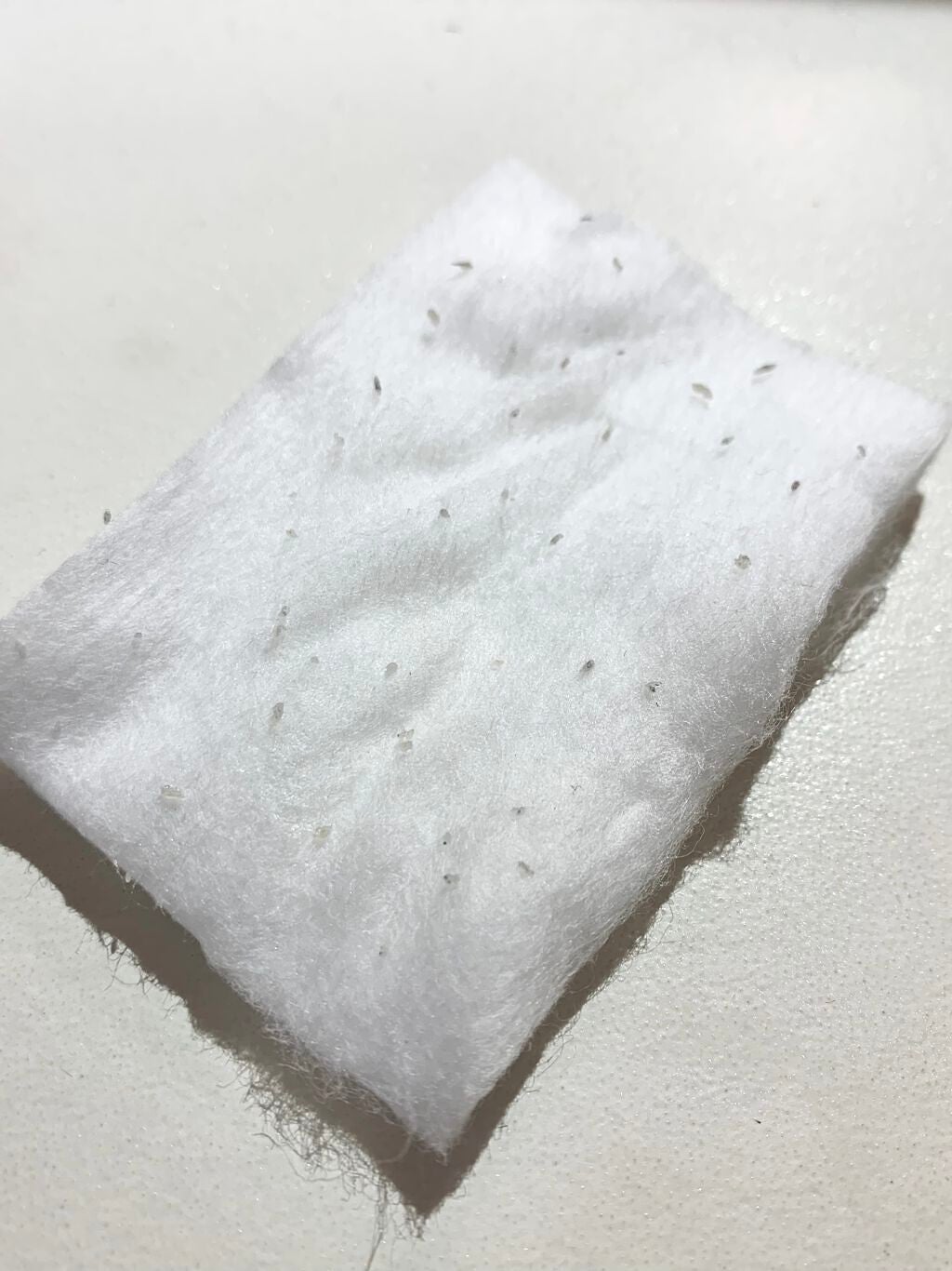 大豆エッセンス/mixsoon/美容液を使ったクチコミ(3枚目)