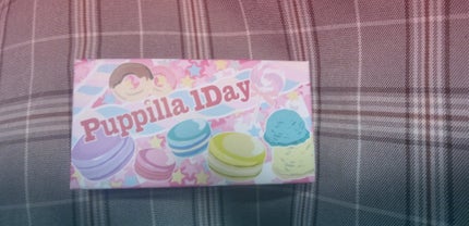 パピーラワンデー/アシストシュシュ/ワンデー(1DAY)カラコンを使ったクチコミ(1枚目)