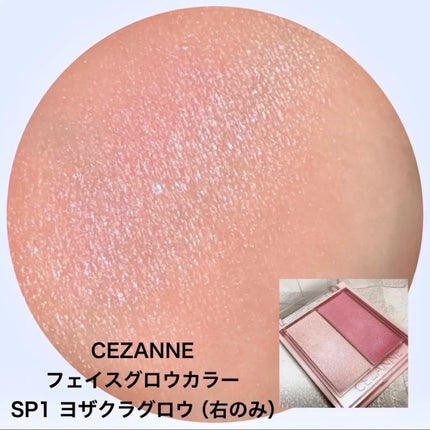 グロウフルールチークス(ブレンドタイプ)/キャンメイク/パウダーチークを使ったクチコミ(5枚目)