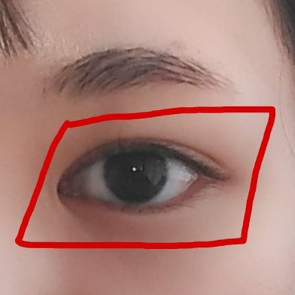 パーフェクトマルチアイズ/キャンメイク/アイシャドウパレットを使ったクチコミ(5枚目)