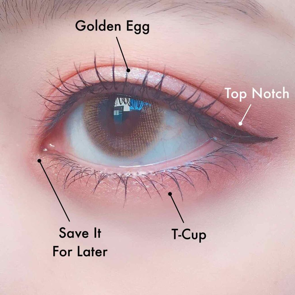 GOLDEN STATE OF MIND/ColourPop/アイシャドウパレットを使ったクチコミ（1枚目）