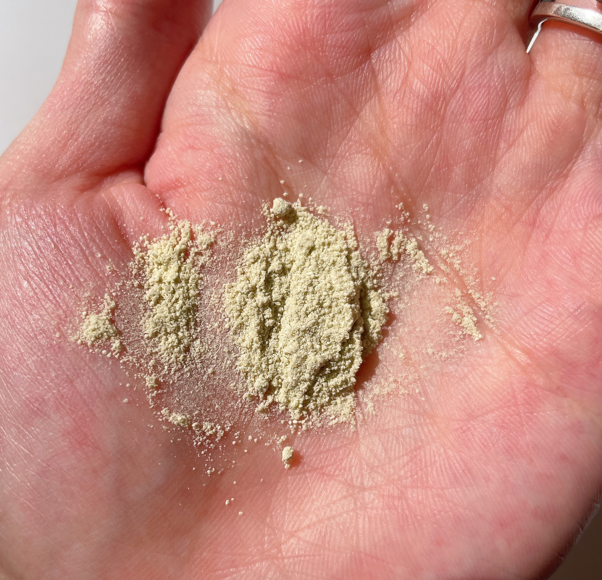 グリーンティー&エンザイムパウダーウォッシュ/By Wishtrend/洗顔パウダーを使ったクチコミ（2枚目）